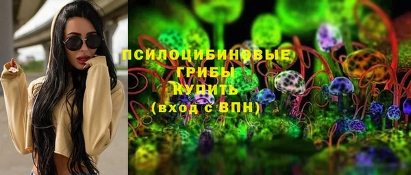 гашик Бронницы