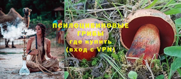 мескалин Бородино